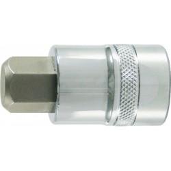 Embout de vissage 1/4'' pour vis femelle à 6 pans, poli, Cote s/plats : 3 mm, Long. 30 mm