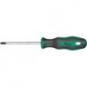 Tournevis PZ2x100mm FORTIS
