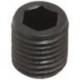 Vis allen pour Taille 12 FORTIS
