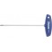 Tournevis TORX®, avec manche en T, Dimensions : T 40, Long. de la lame 100 mm