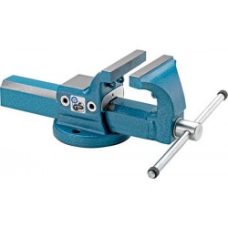 Etau parallèle avec support pour fixation de mâchoires de serrage orientables et interchangeables, Larg. : des mors : 125 mm