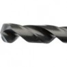 Foret D338RN 11,20mm HSS FORTIS
