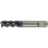Fraise cylindrique longue, queue HB, en carbure monobloc, Ø d1 - h10 : 12,0 mm, Long. totale l1 75 mm, Long. coupe l2 25 mm
