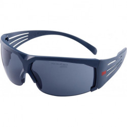 Lunette de protection SecureFit602PC Gris SGAF