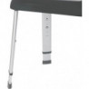 Chaise pour douche Secura Premium