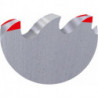 Lame de scie circulaire HSS D1838C 250X160X32 100 dents