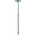 Vis à tęte plate FP Galvanisé bleu 80 x 200 (Par 50)