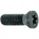 Vis de serrage pour insert M45x12 T15