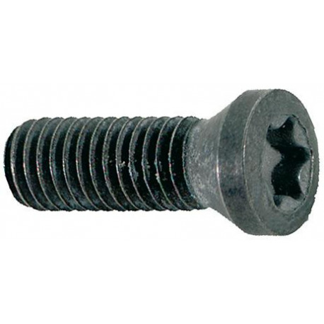 Vis de serrage pour insert M45x12 T15