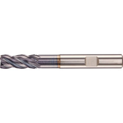 Fraise D6527L1200 Z4 + HB CARAP FORTIS