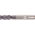 Fraise D6527L400 / 05 + Z4 CARAP FORTIS