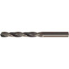Foret hélicoidal DIN338 HSS forgés Typ RN 2,9,mm FORTIS (Par 10)