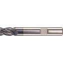 Fraise D6527K1800 Z4 CARAP + FORTIS