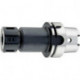 Mandrin D69893A HSK-A100 OZ 2-32mm Fortis