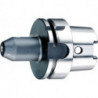 Mandrins D69893A HSK-A100 20x100mm Fortis