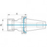 Mandrin D69871ADB SK50 OZ 2-25mm Fortis