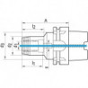 Mandrin de taraudage D69893A G25 HSK-A100 10x 90mm Fortis