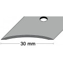 Rail de tapis, largeur 30 mm, longueur 1000 mm, aluminium, anodisé argenté, cintré, perforé au centre PG (Par 10)