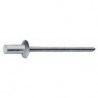 Rivet aveugle étanche CAP tige de rivet D. x l 3,2 x 6 mm cuivre/acier 500 pièce GESIPA (Par 500)