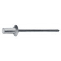 Rivet aveugle étanche CAP tige de rivet D. x l 3,2 x 6 mm cuivre/Nirosta 500 pièce GESIPA (Par 500)