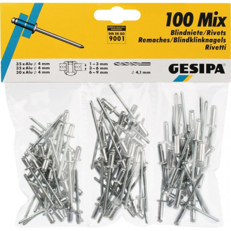 Assortiment de rivets POP 100 pièces GESIPA