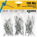 Assortiment de rivets POP 100 pièces GESIPA