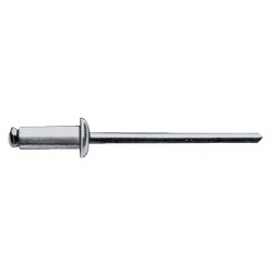 Rivet POP tige de rivet D. x l 6 x 10 mm acier/acier 250 pièce GESIPA (Par 250)