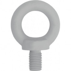 Boulon à œillet DIN 580 filetage M10 acier C15 galvanisé (Par 50)