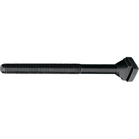 Vis pour rainure en T DIN 787 rainure en T 42mm M36 L.160mm Classe de qualité 8.8 AMF