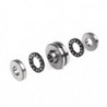 Roulements à rouleaux cylindriques axiaux à aiguilles 82mm Ext 110mm Int 50mm -20 b.+120 degrés INA
