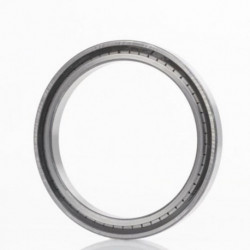 Roulements à rouleaux cylindriques SL184914 30mm Ext 100mm Int 70mm foret cylindrique .INA