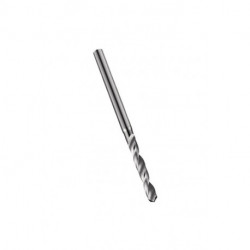 Foret micro TypN A720 D.0.6mm Spiral-L.4.5mm HSS-E Brut DORMER (Par 10)