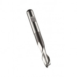 Fraise à rainurer Werksnorm L.74.5mm HSS-E Brut Z.2 DORMER