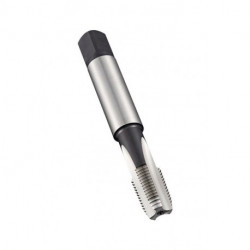 Taraud de machine Werksnorm-ANSIC NPT 1 pouces x11.5 HSS-E-PM brillant Normal DOR