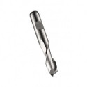 Fraise à rainurer HSS-E-PM brillant Z.2 DORMER