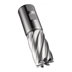 Fraise C247 DIN 844 K D.30mm Coupe-L.45mm HSS-E-PM Brut 30 degrés Z.6 DO