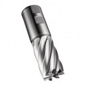 Fraise C247 DIN 844 K D.32mm Coupe-L.53mm HSS-E-PM Brut 30 degrés Z.6 DO