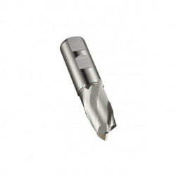 Fraise à rainurer L.45.5mm HSS-E-PM Brut Z.2 DORMER