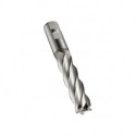 Fraise C273 DIN 844 L D.40mm Coupe-L.125mm HSS-E-PM Brut 30 degrés Z.6 D