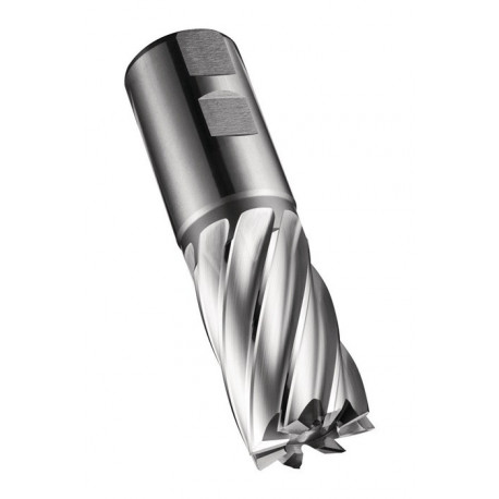 Fraise C247 DIN 844 K D.50mm Coupe-L.75mm HSS-E-PM Brut 30 degrés Z.8 DO