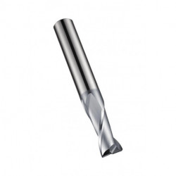 Fraise à rainurer D.2.5mm HM AlCrN Z.2 DORMER