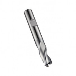 Fraise à rainurer D.2.5mm HM AlCrN Z.3 DORMER