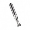 Fraise S610 Werksnorm R.0.1mm Gesamt-L.100mm HM Polished 30 degrés Z.2 DORMER