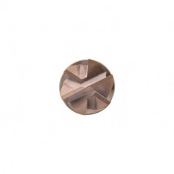 Fraise S527 Werksnorm Lg Total.150mm HM TiSiN 50 degrés Z.6 DORMER