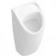 Urinoirs, 290 x 495 x 245 mm, alimentation encastrée, En porcelaine sanitaire Blanc