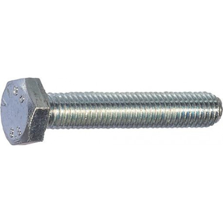 Vis hexagonale SKS 8x55 (Par 100)