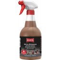 Nettoyant grill en poudre risateur à pompe 750 ml EURO (Par 6)