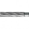 Foret trépan HKE-L Weldon HM extralong 20/110 mm BDS
