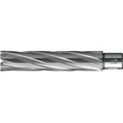 Foret trépan HKE-L Weldon HM extralong 22/110 mm BDS