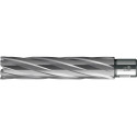 Foret trépan HKE-L Weldon HM extralong 22/110 mm BDS